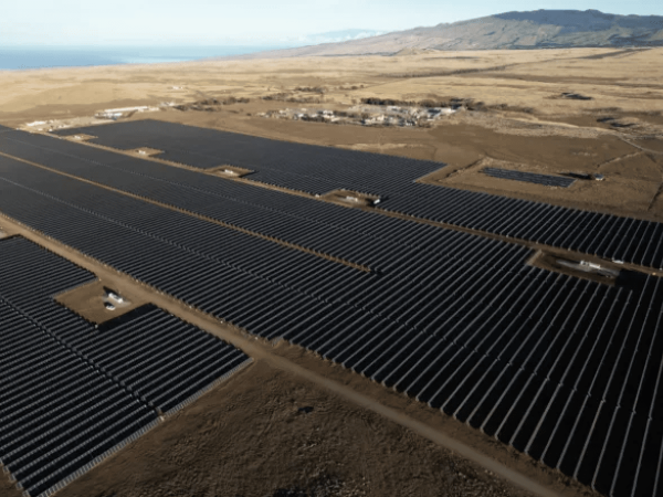 Innergex Brings Hawaii Solar Project Online, Supports France Agrivoltaic Installations