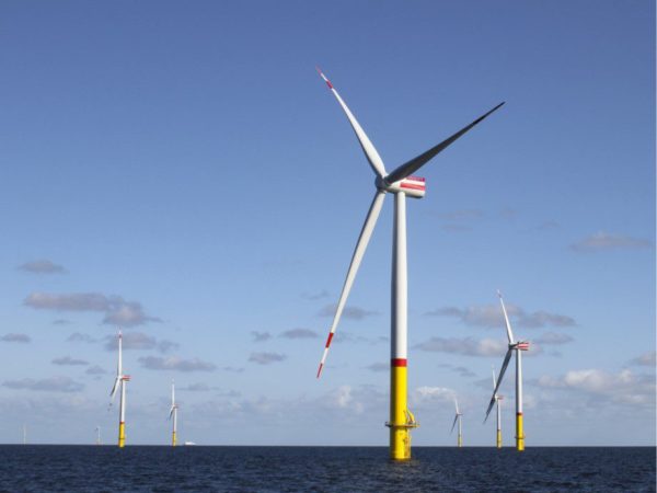 17 States Sue Trump Over Halt to Wind Energy Projects
