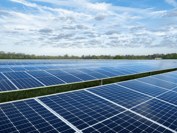 Tariff Tempest: Renewables’ Route Through the Current Tariff Climate