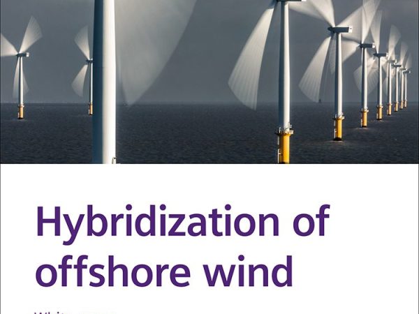 Hybridization of Offshore Wind